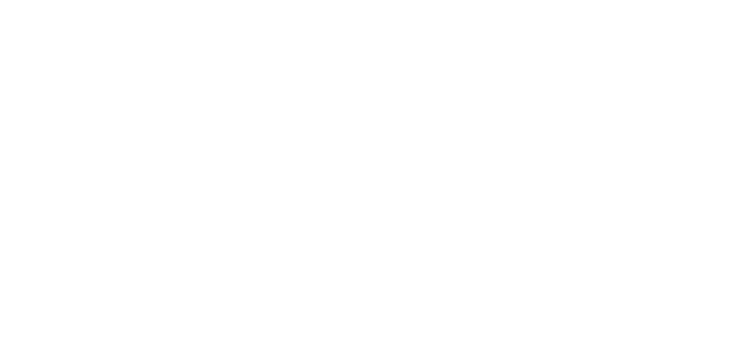 VinUniversity